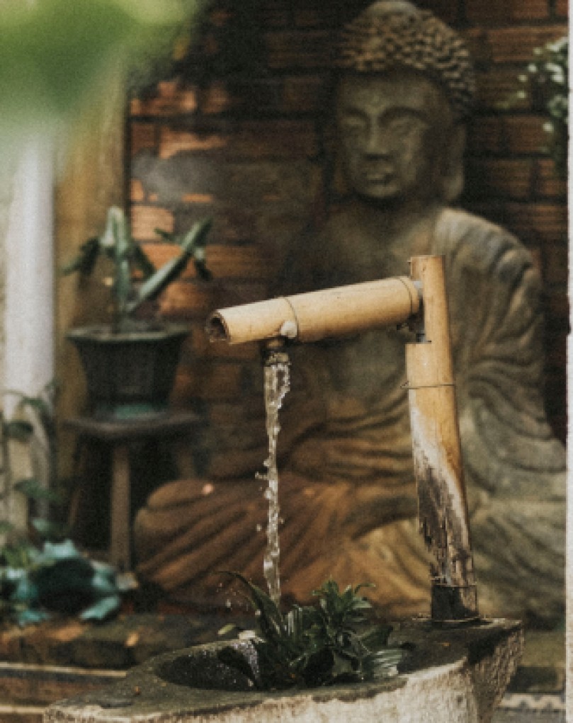 Water flow from a pipe made of bamboo below which is a plant, that represents a traditional water conservation method