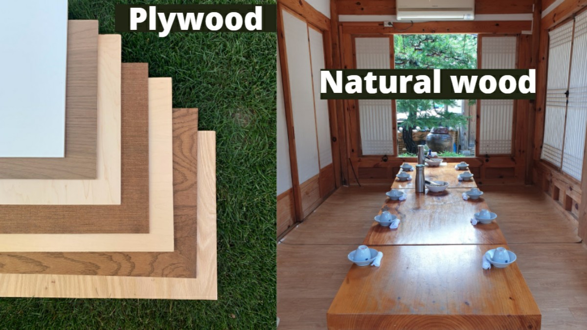 Plywood vs Natural wood – A comparison