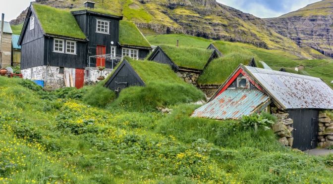 Green roofs - Types, features and advantages